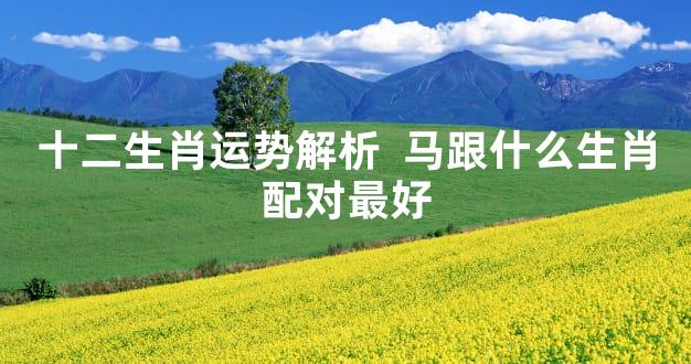 十二生肖运势解析  马跟什么生肖配对最好